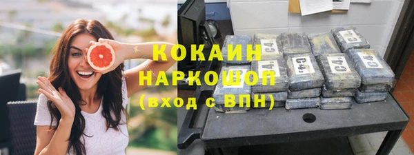 дживик Богородск