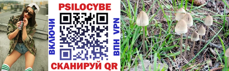 Псилоцибиновые грибы ЛСД  Ногинск 